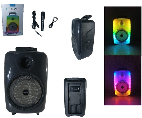 Parlante 802ii Karaoke 8 Pulg Incluye Mic BT